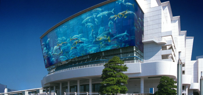 Медиафасад