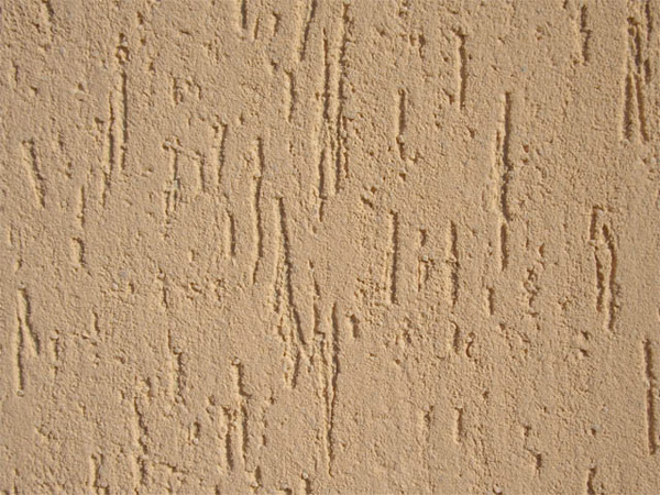 Короед фактурный