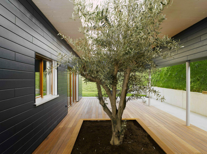 Планкен ДПК