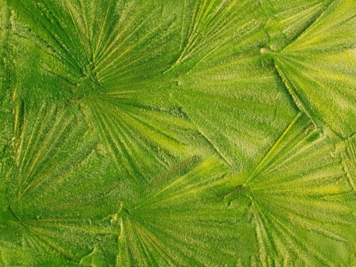 Текстурная краска